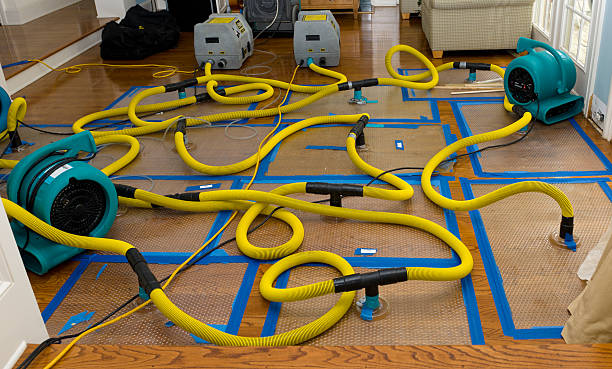 Professional Crawl Space Water Removal technician working in Mount Cory, OH